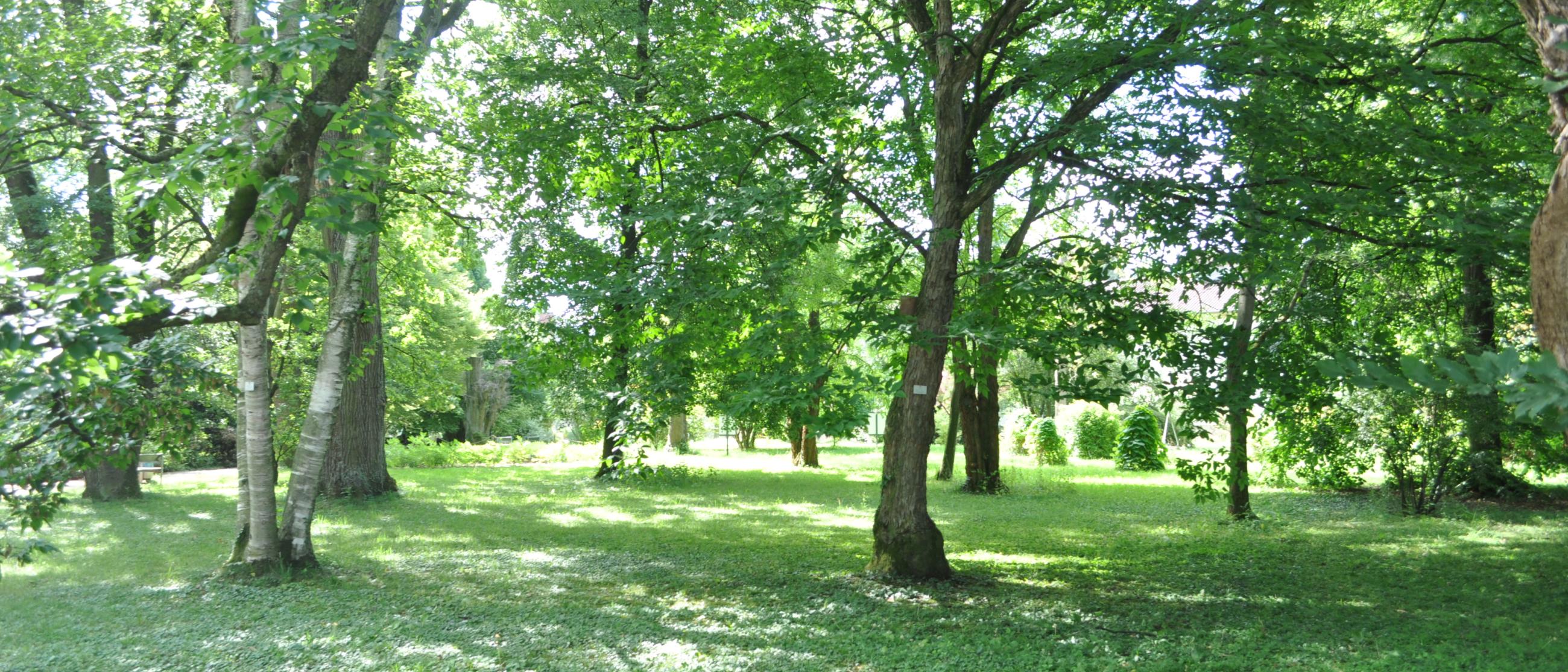 Botanischer Garten Universität Heidelberg